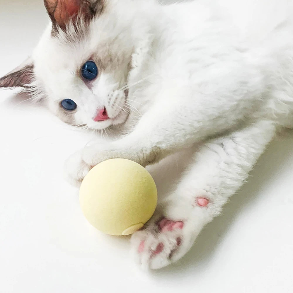 Interaktiver Ball mit Tiergeräuschen, reagiert auf Berührung. Ideal zum Spielen, Kauen und Training mit Catnip.